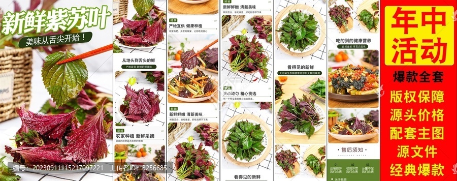 新鮮紫蘇葉詳情頁(yè)