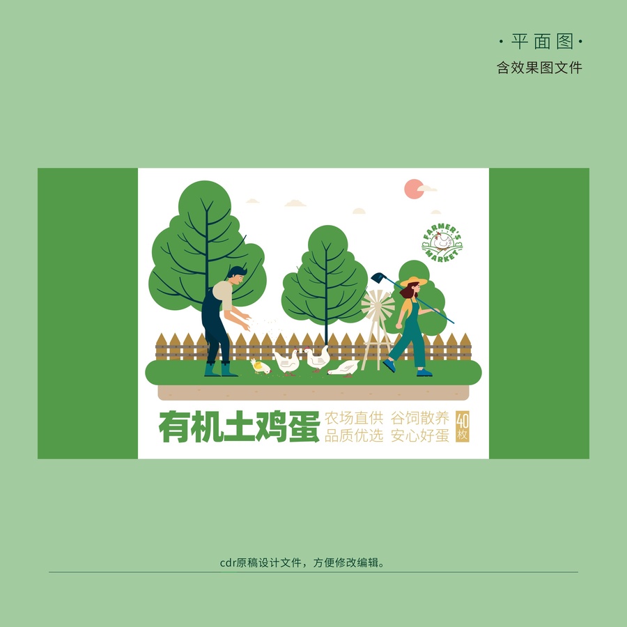 有機土雞蛋包裝主版面設(shè)計