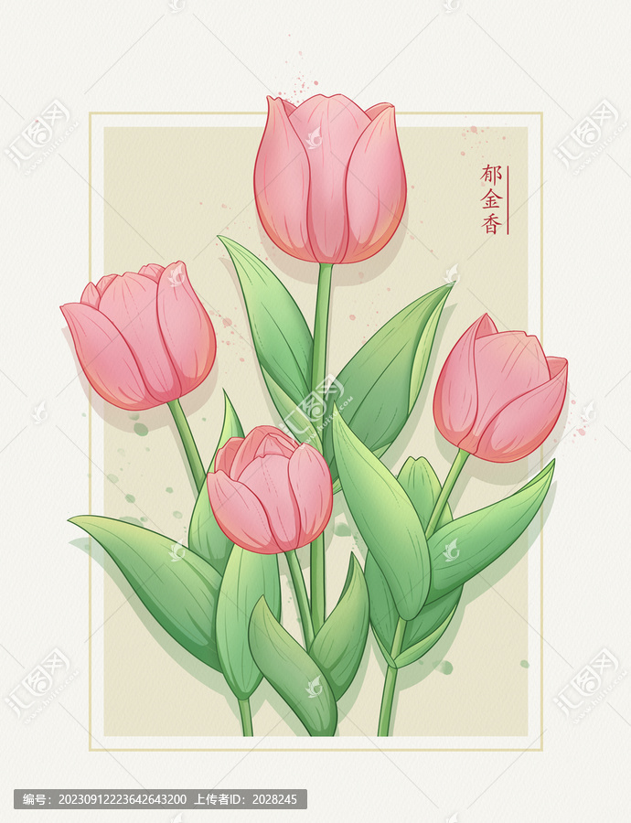 郁金香