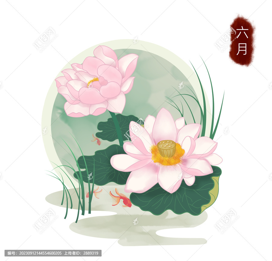 十二月花之荷花手繪插畫