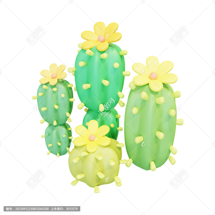3D植物清新仙人掌多肉花朵