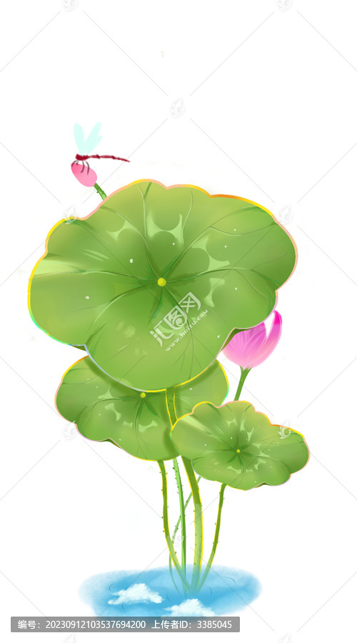 蓮花