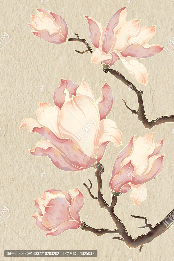 玉蘭花國潮插畫