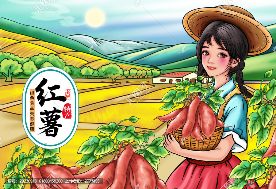 紅薯包裝插畫