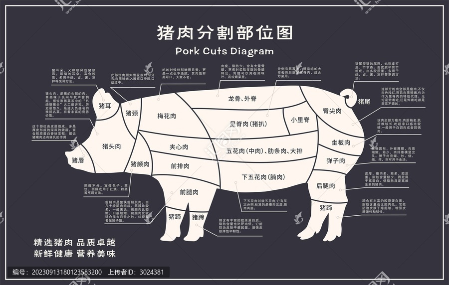 豬肉分解圖