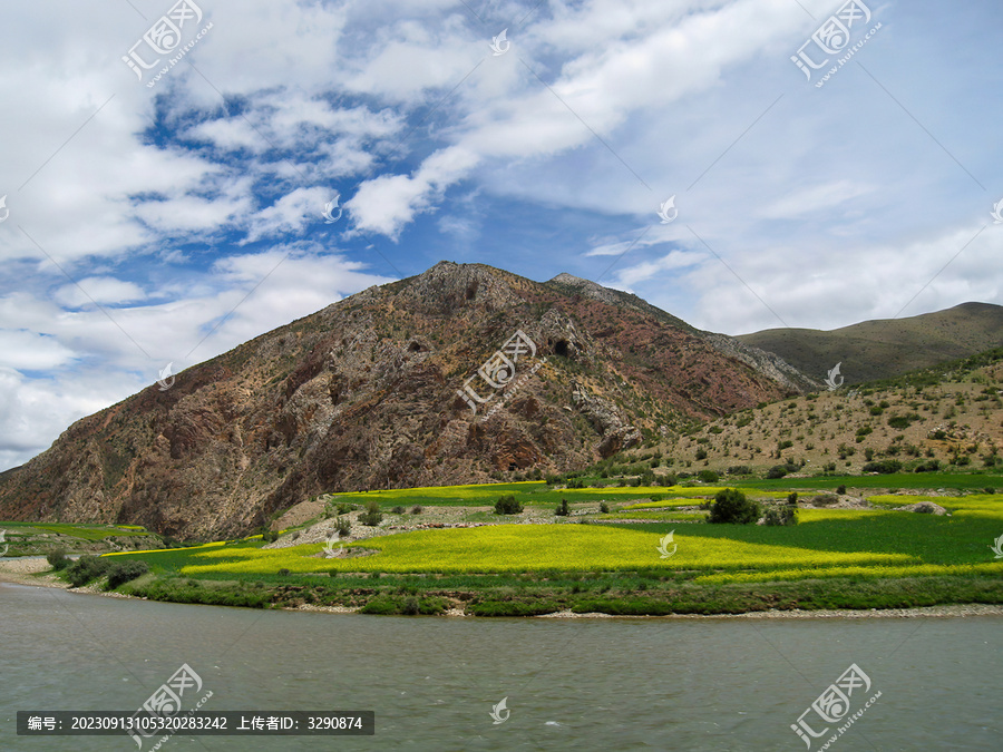 山下绿色的田野油菜花地