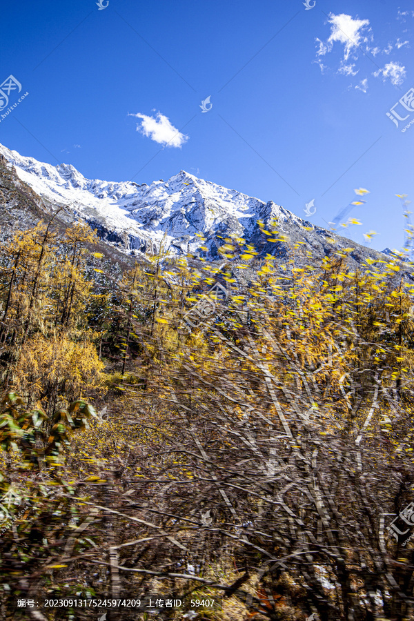 秋天的毕棚沟雪山雪景