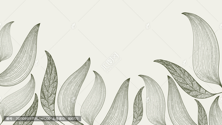植物線條墻飾