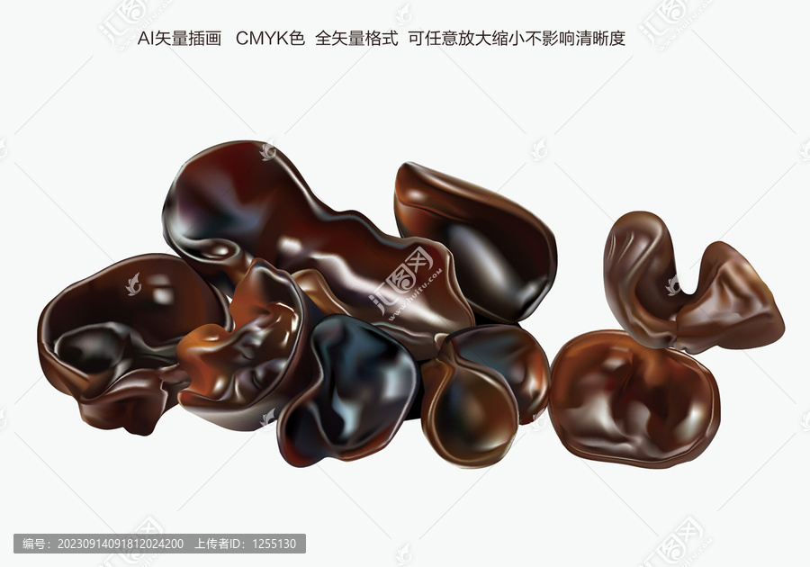 木耳矢量插畫