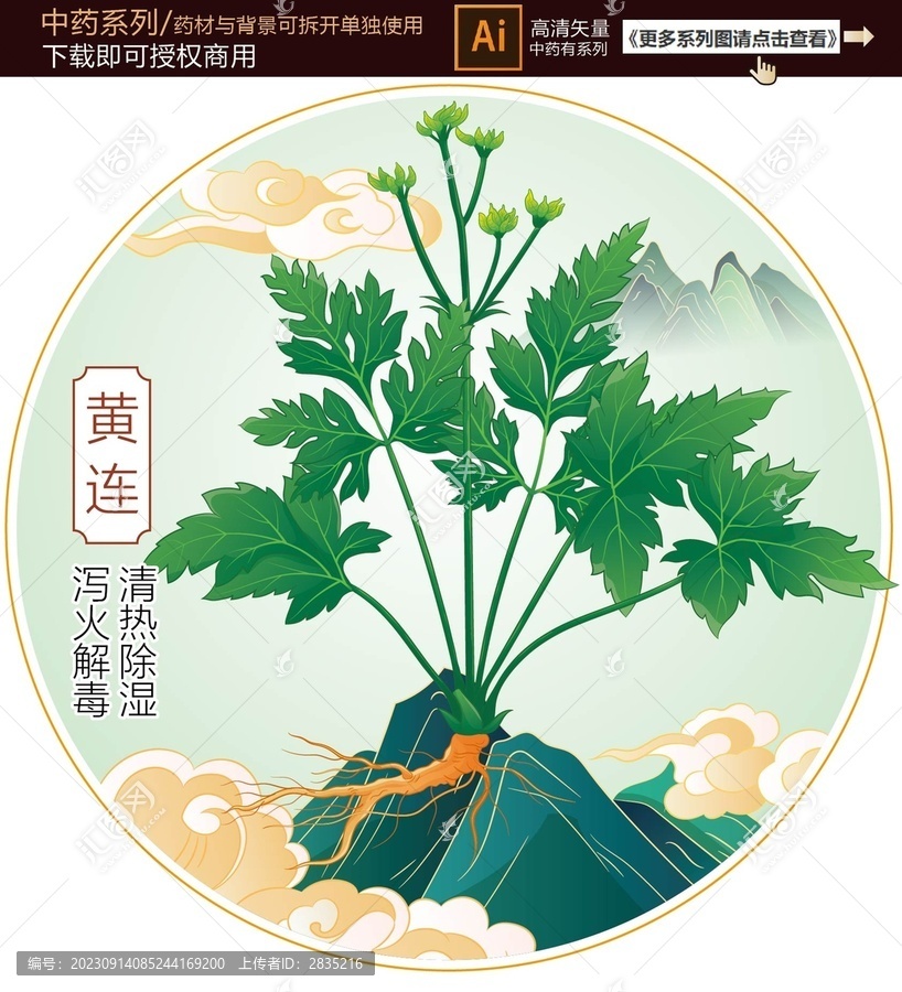 黃連