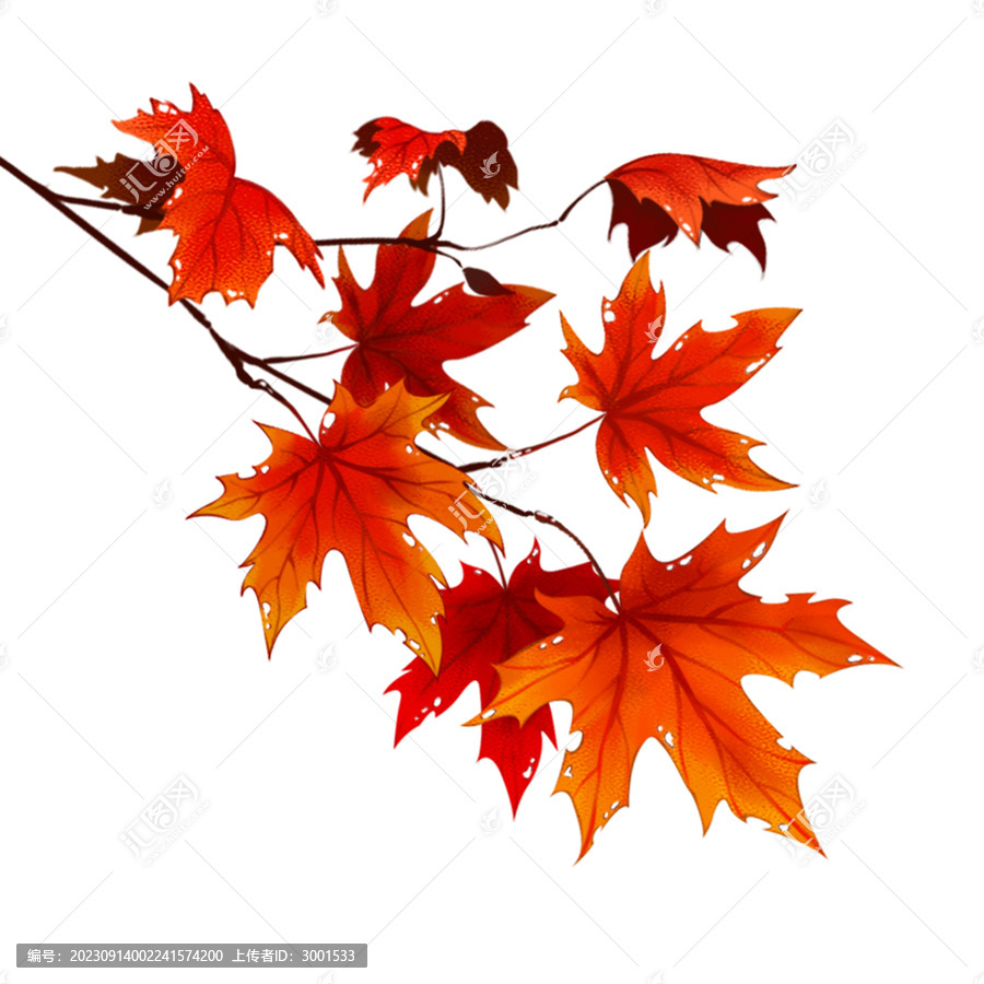 手繪紅楓葉插畫(huà)秋天素材