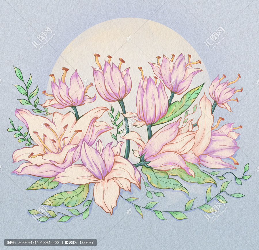 百合花束插畫