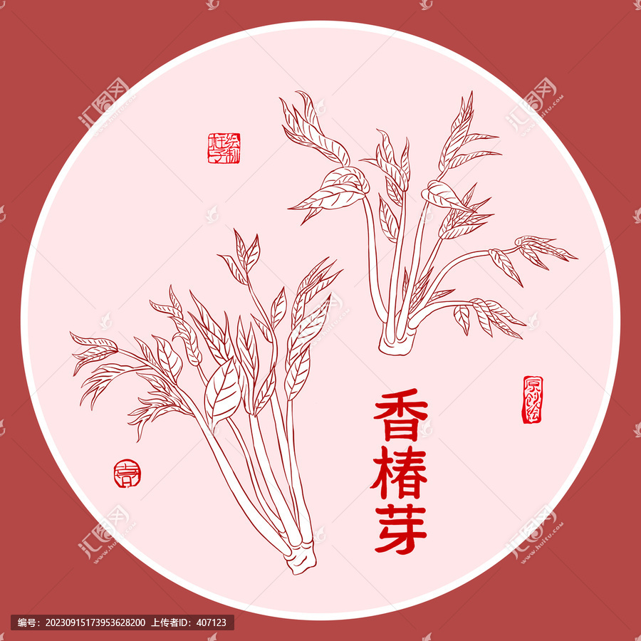 香椿芽線稿圖