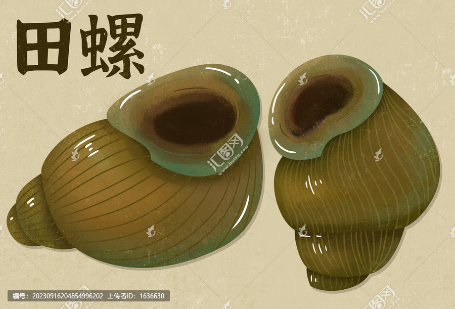 田螺插畫(huà)