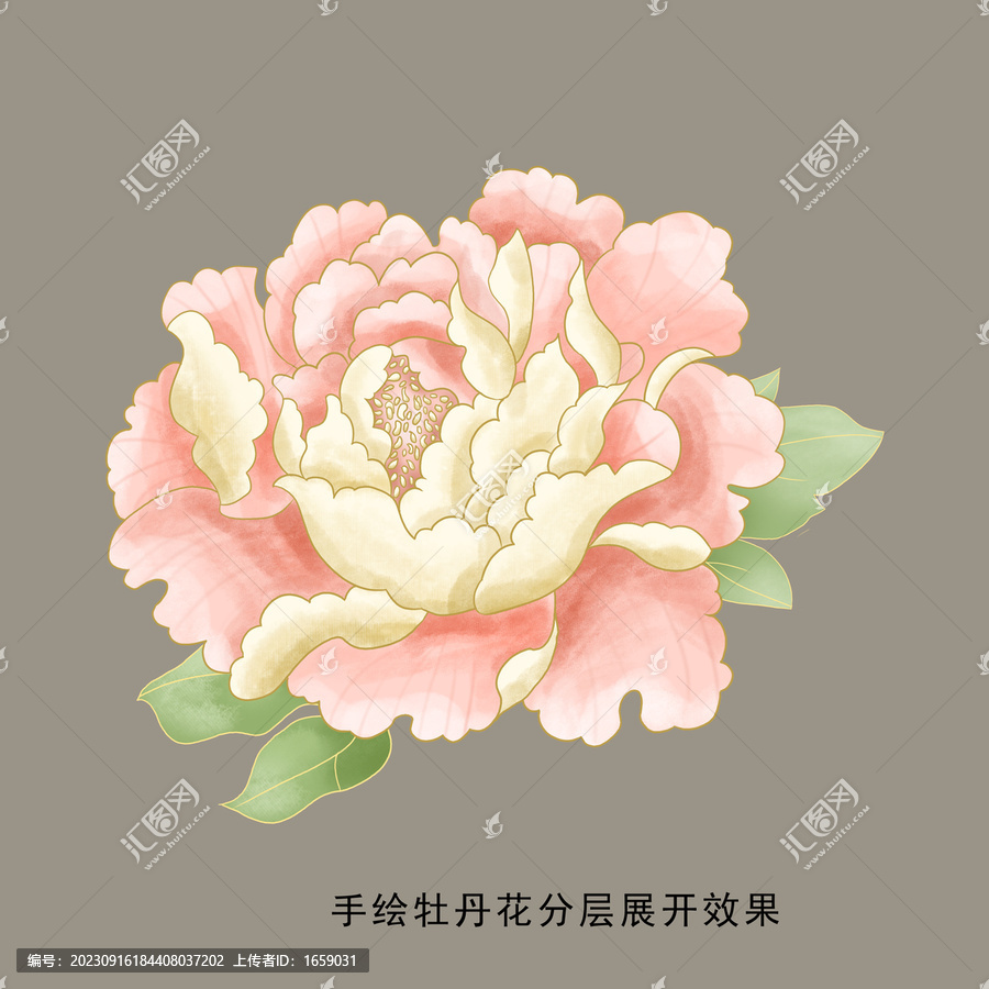 手繪牡丹花