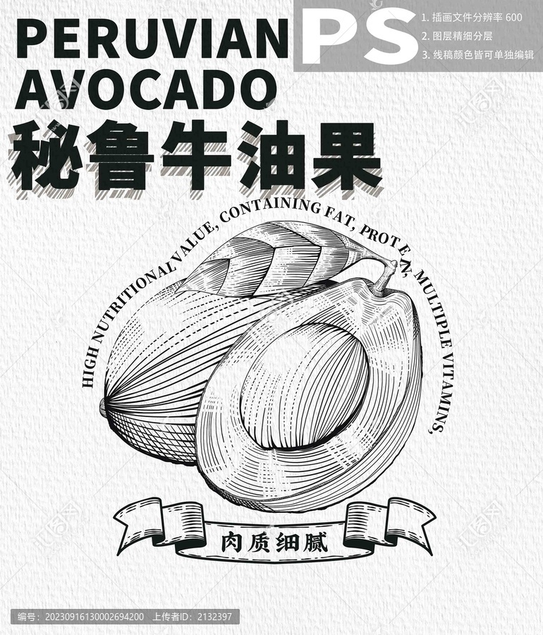 牛油果插畫