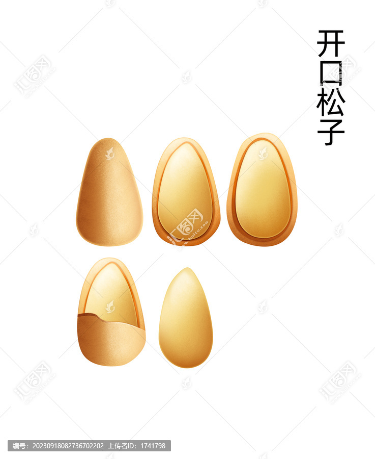 松子
