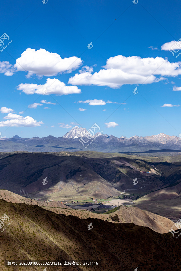 马尔可