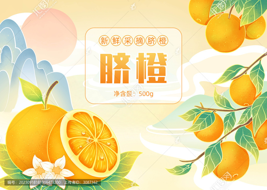 原創臍橙插畫國潮插畫