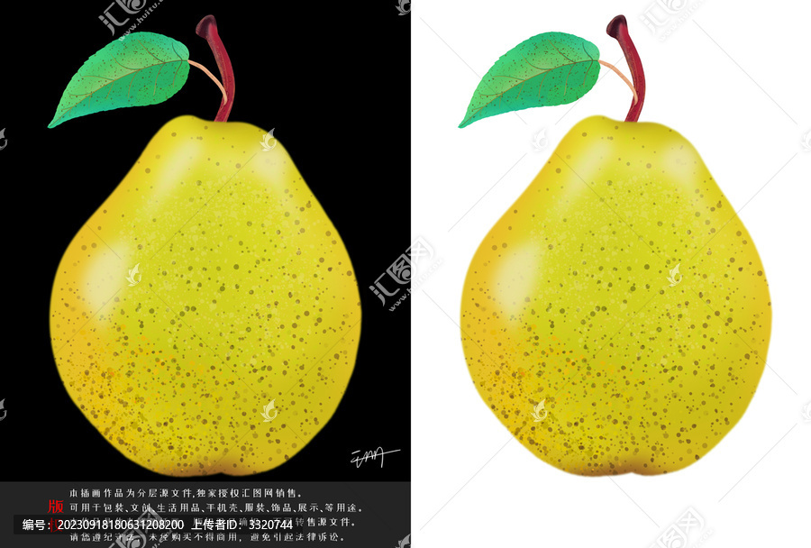 手繪水果梨插畫