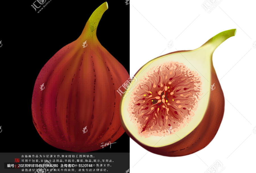 手繪無(wú)花果插畫