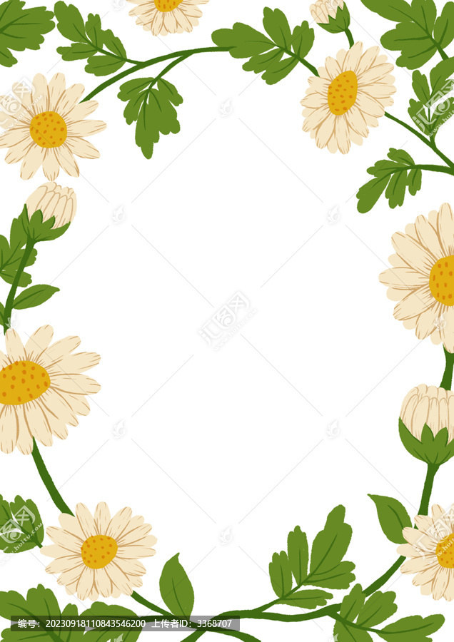 菊花花環(huán)花朵背景菊花茶