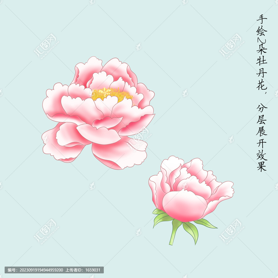 手繪牡丹花