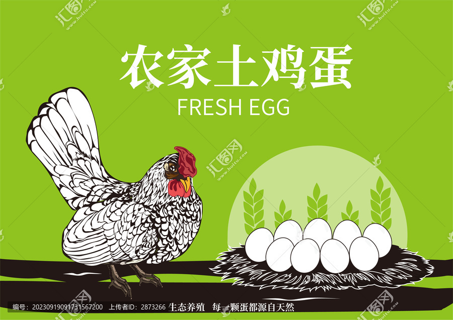 雞蛋包裝插畫