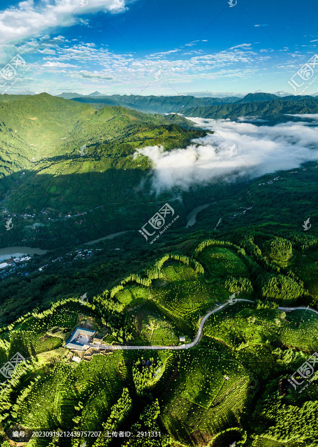 广袤山川大地高山茶园云雾缭