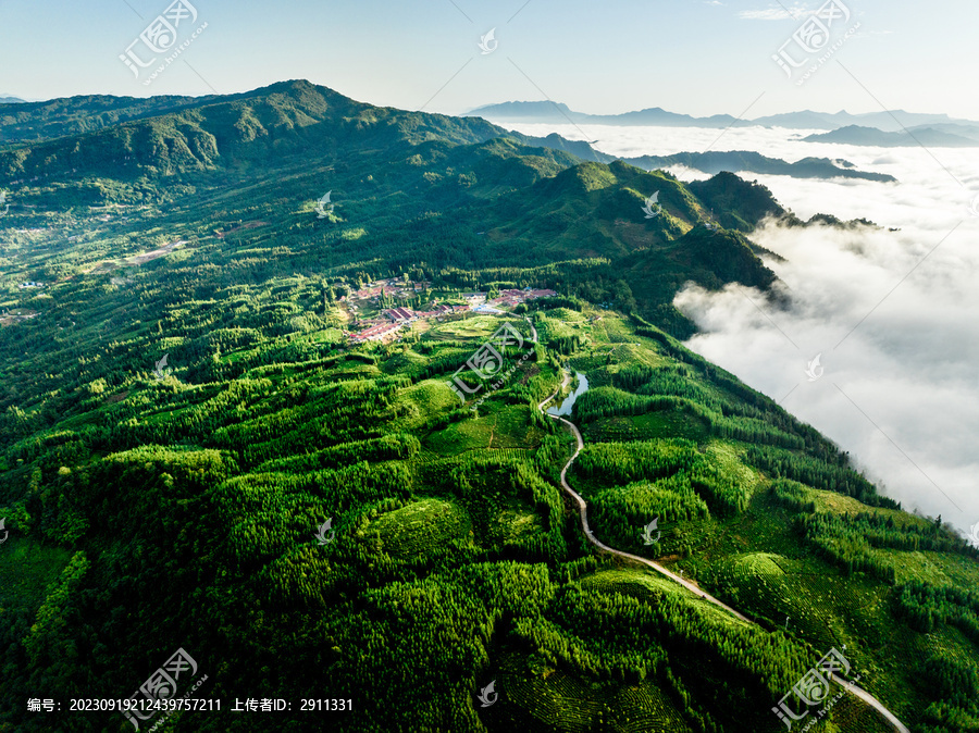 广袤山川大地高山茶园云雾缭