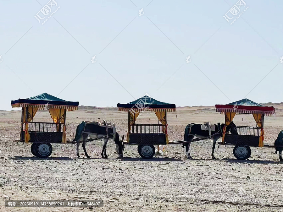 驢車