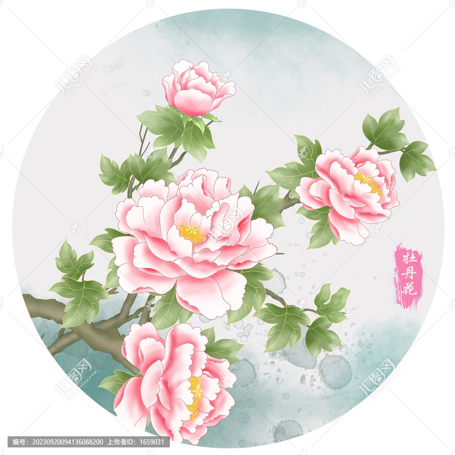 牡丹花插畫