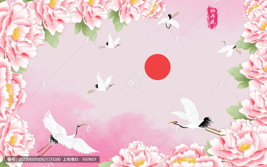 牡丹花背景
