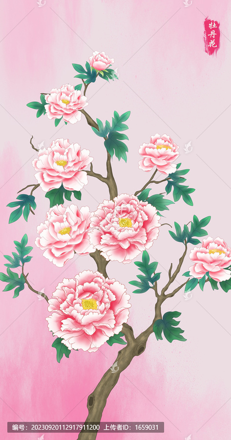 玄關(guān)牡丹花