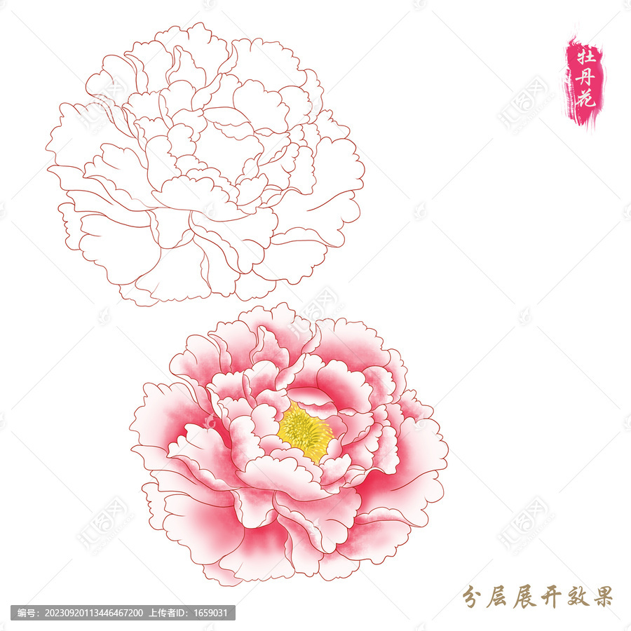 手繪牡丹花