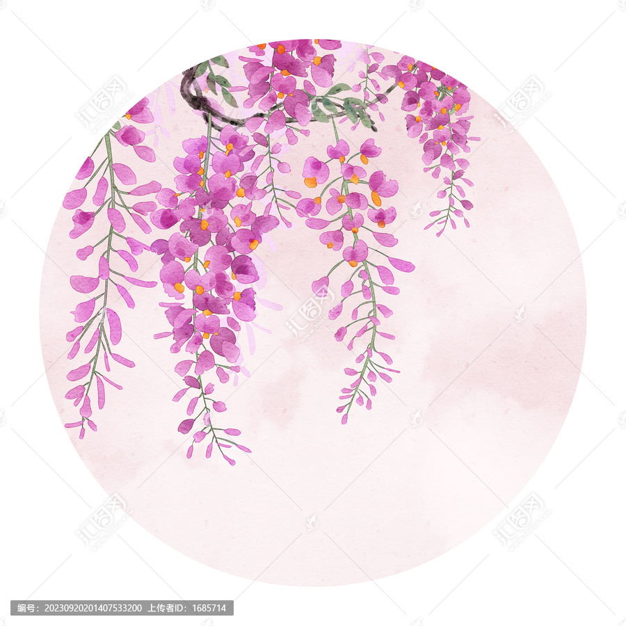 古風(fēng)紫藤花
