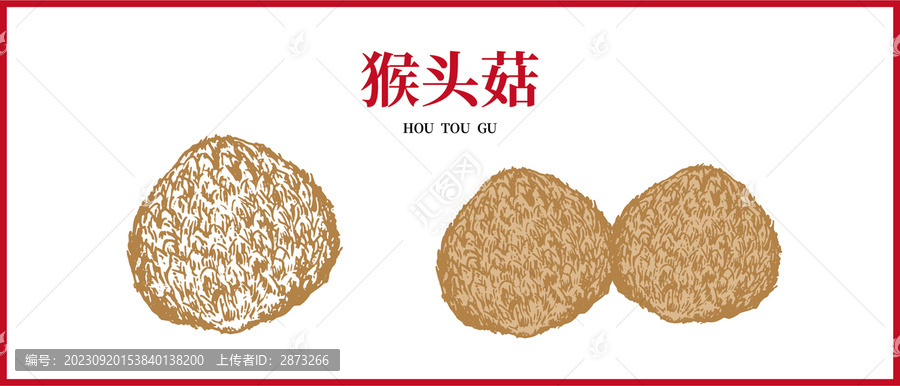 猴頭菇