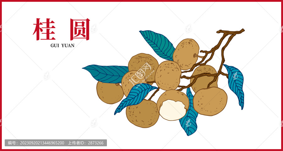 桂圓插畫