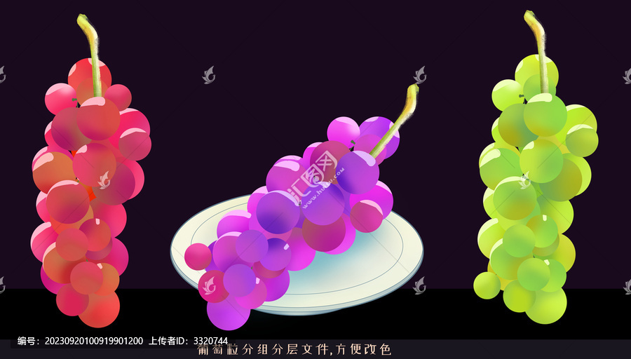 手繪葡萄插畫