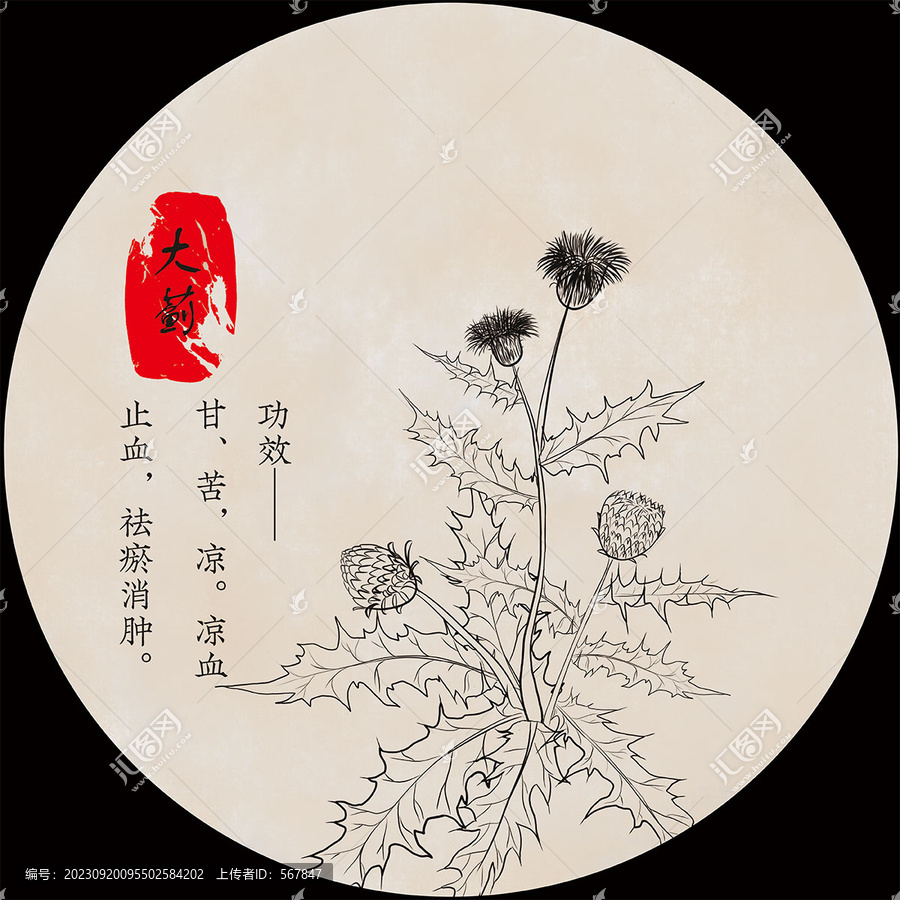 大薊