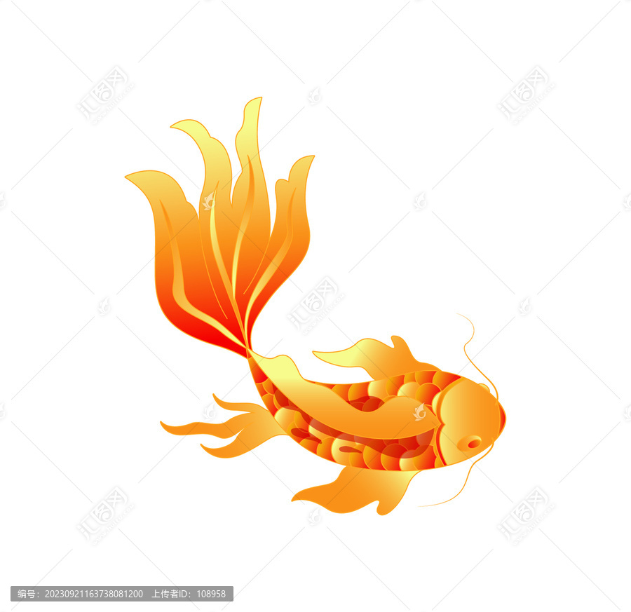 錦鯉