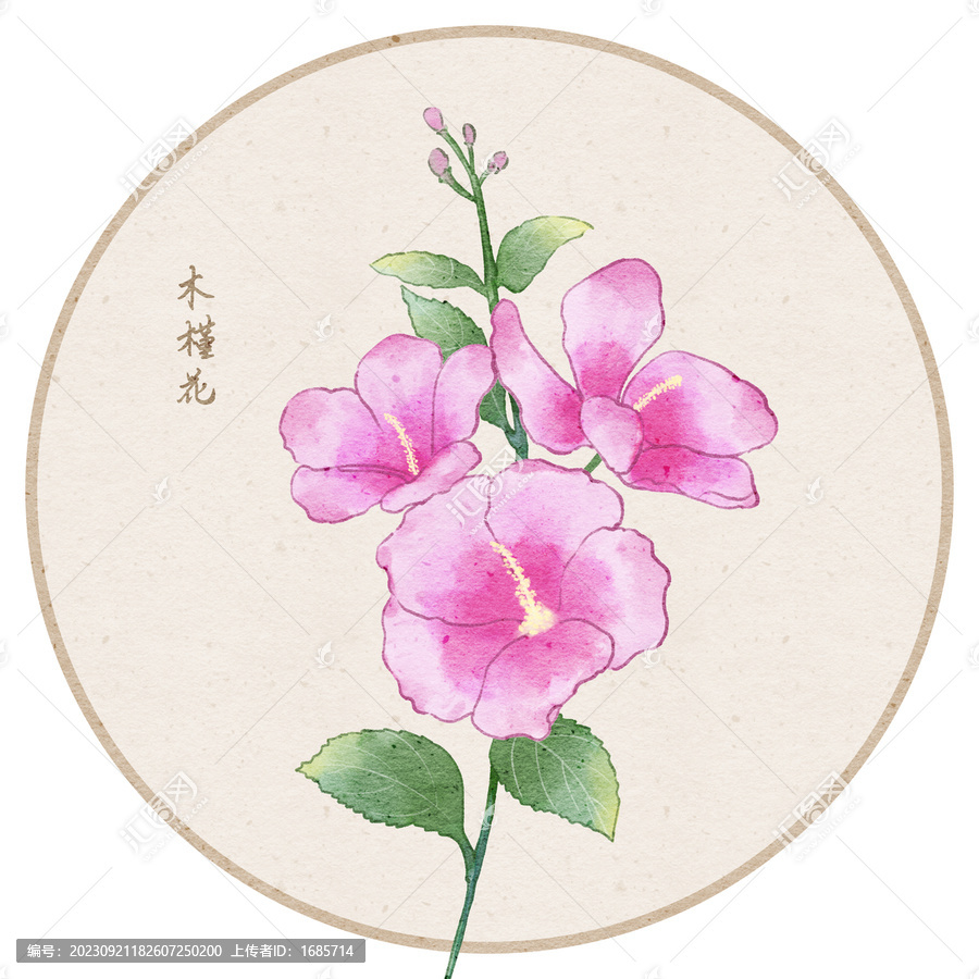 古風(fēng)木槿花
