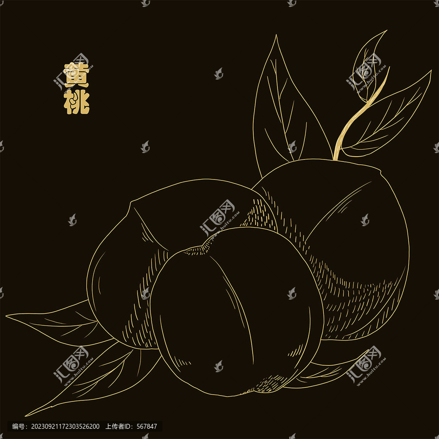 黃桃線描線稿