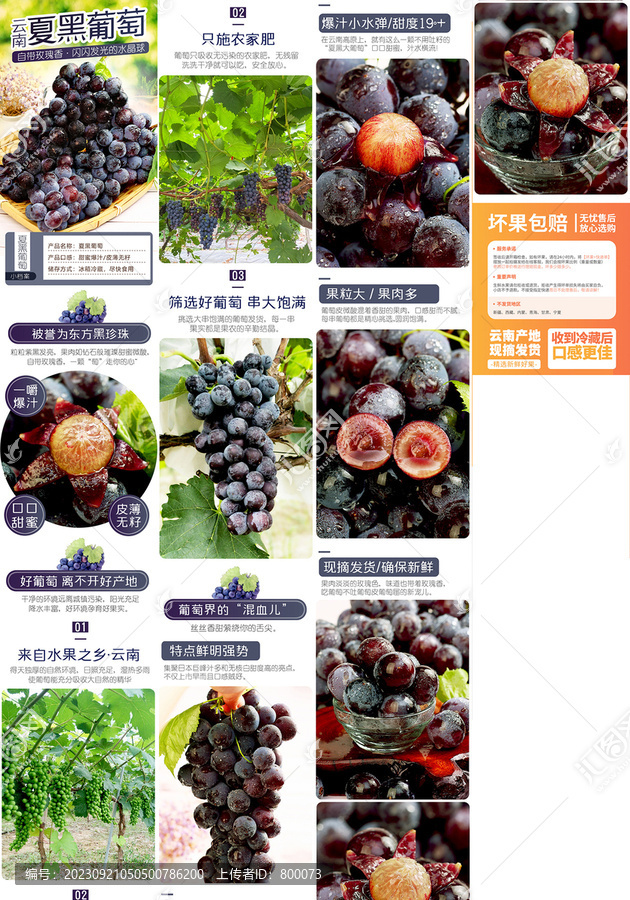 夏黑葡萄詳情