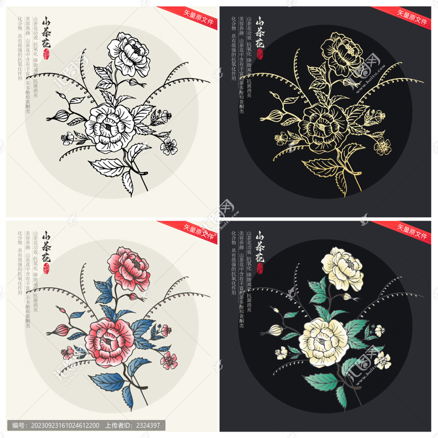 矢量山茶花