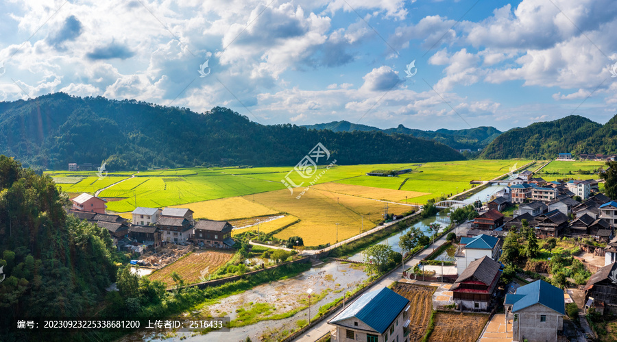 航拍农村山村生态农业稻田