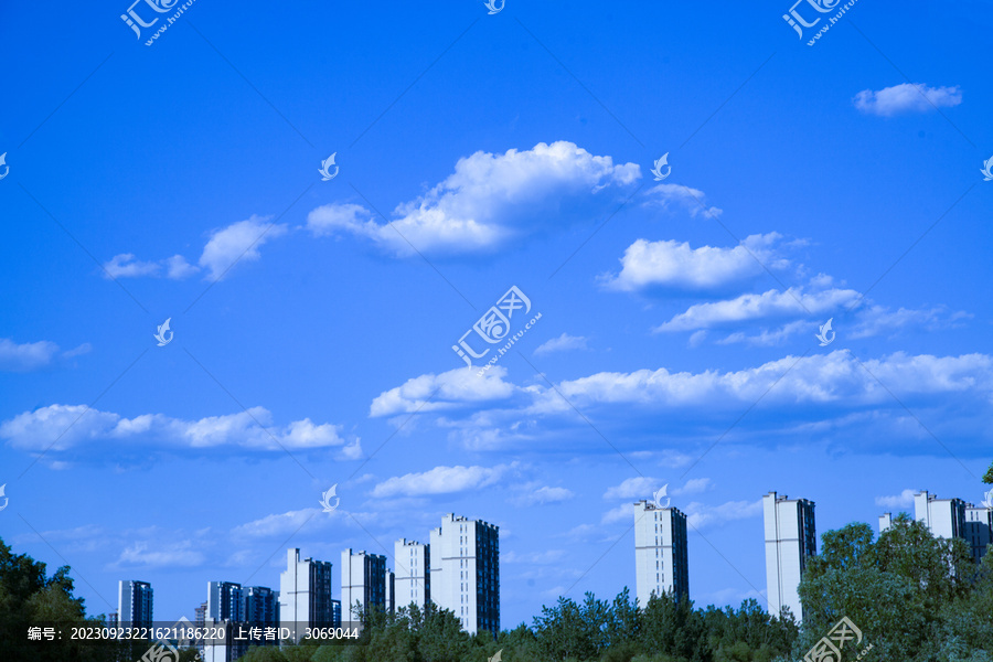 城市高楼绿化树白云蓝天