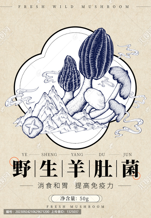 野生羊肚菌包裝插畫