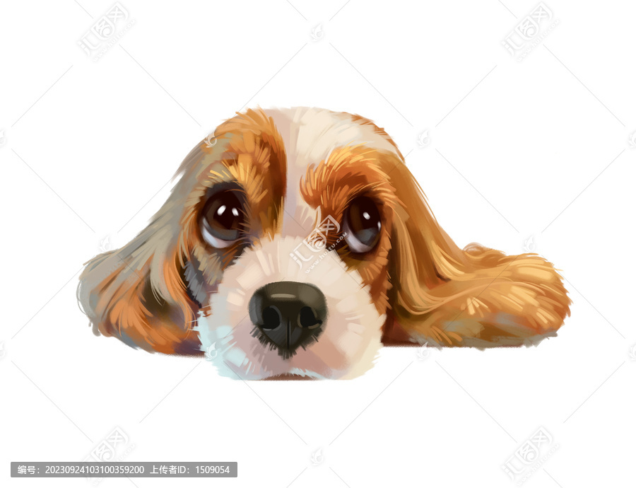 小狗素材插畫