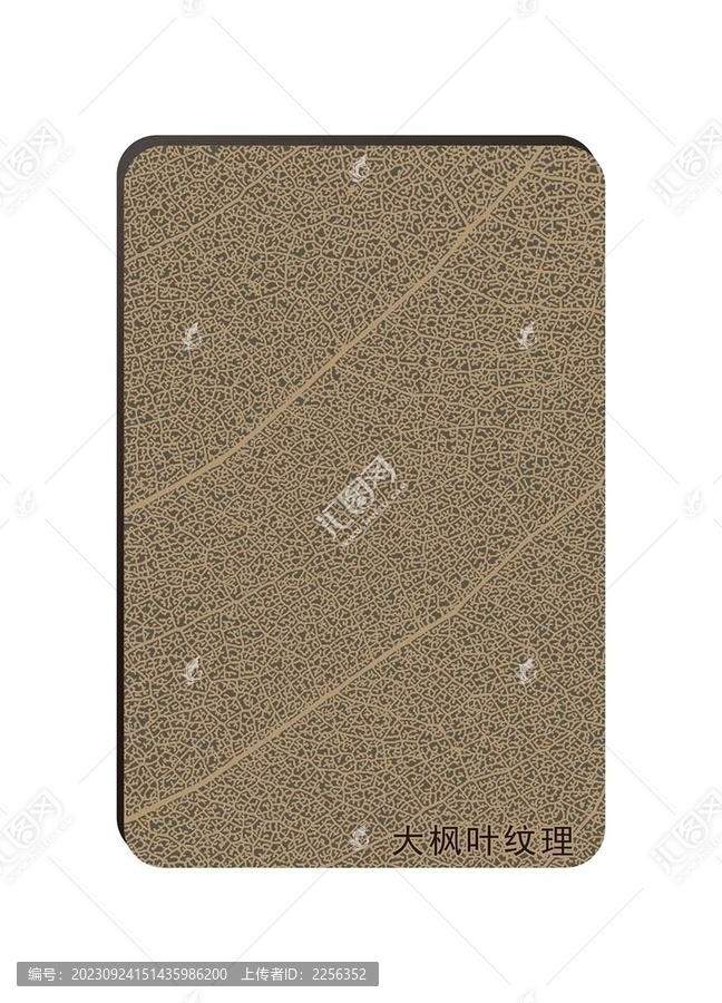 大楓葉紋理
